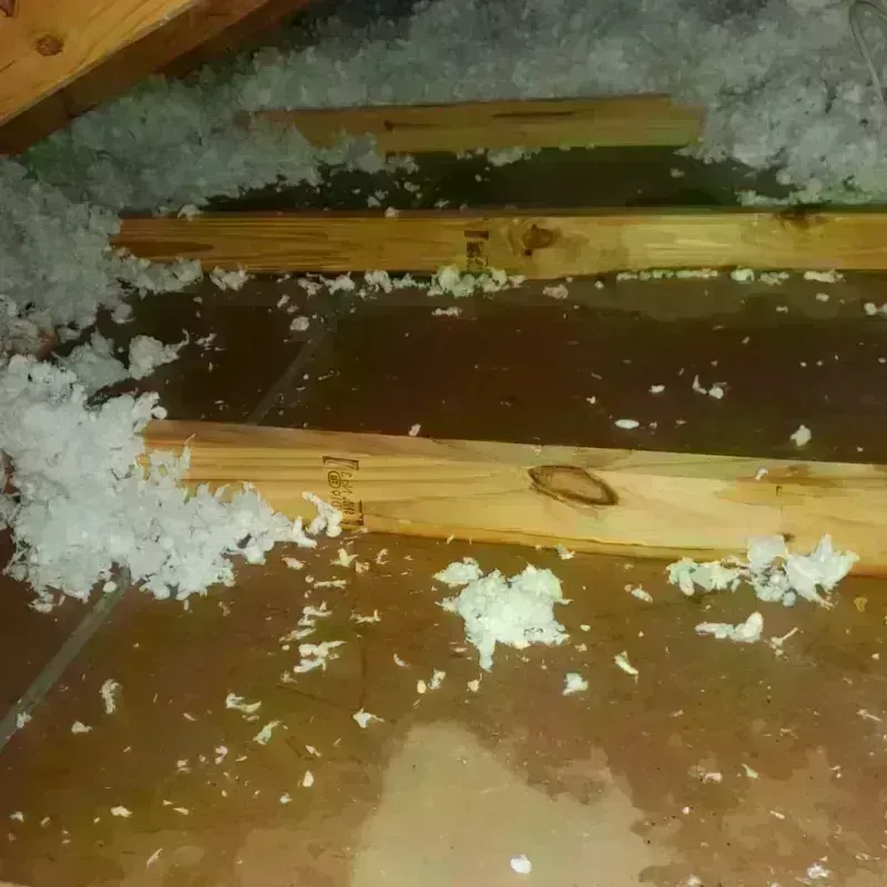 Attic Water Damage in Riverton, IL