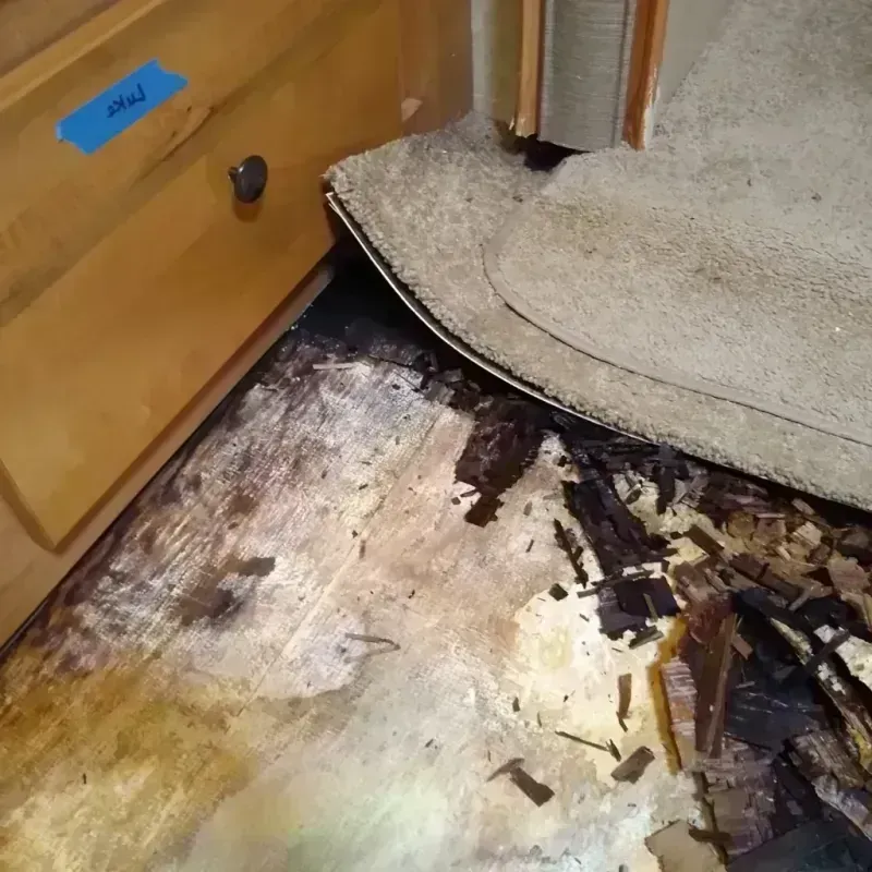 Best Wood Floor Water Damage Service in Riverton, IL